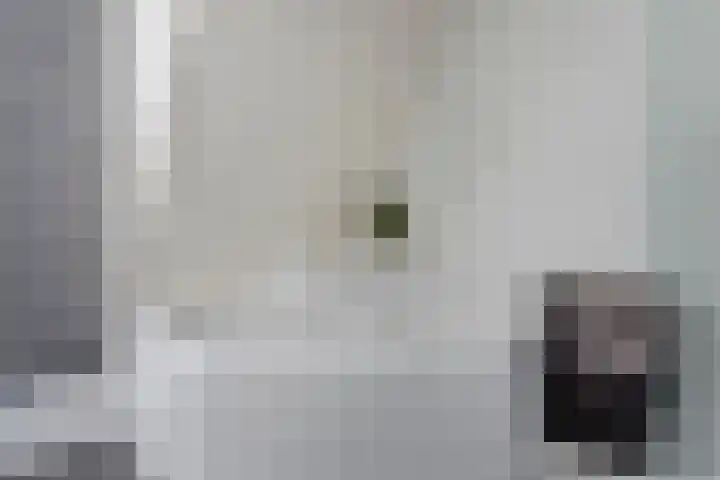 Zijdemos 6 Veenendaal thumbnail 32