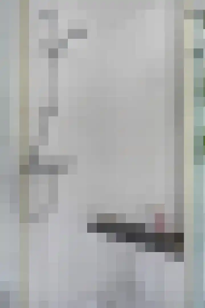 Zijdemos 6 Veenendaal thumbnail 33