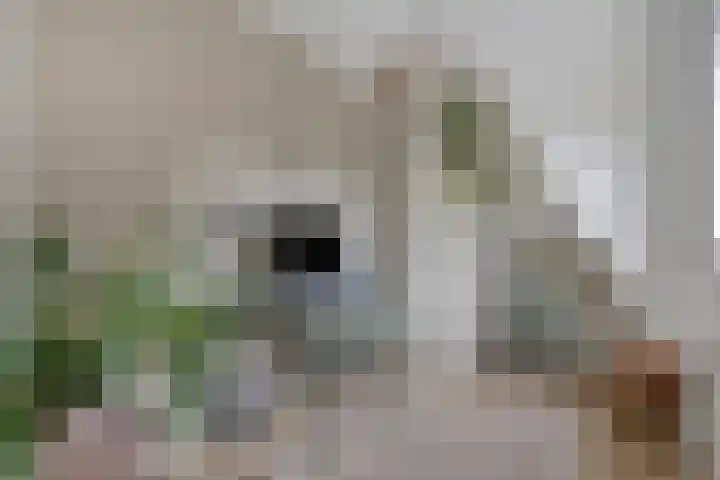 Zijdemos 6 Veenendaal thumbnail 35