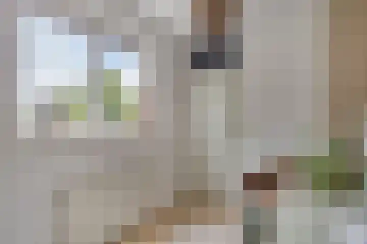 Zijdemos 6 Veenendaal thumbnail 36