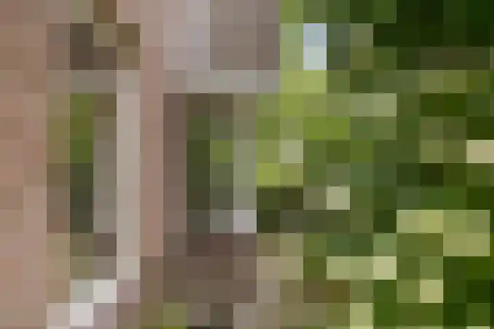 Zijdemos 6 Veenendaal thumbnail 4