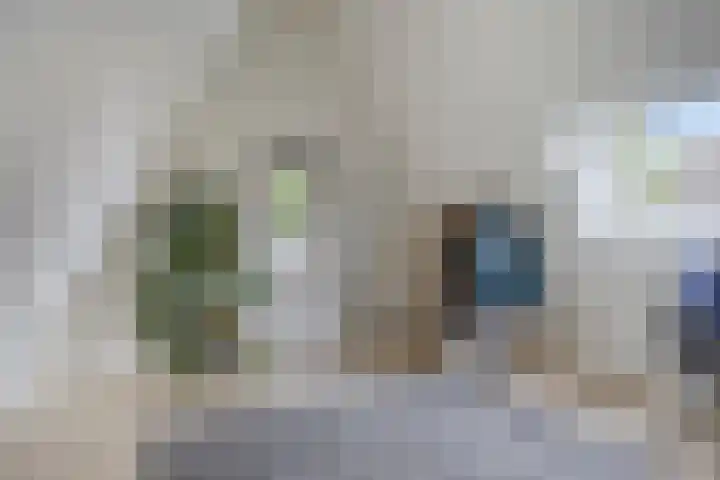 Zijdemos 6 Veenendaal thumbnail 41