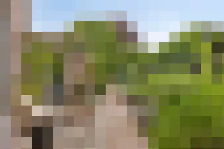 Zijdemos 6 Veenendaal thumbnail 42