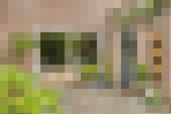 Zijdemos 6 Veenendaal thumbnail 43