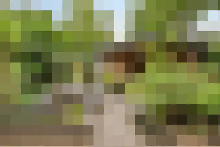 Zijdemos 6 Veenendaal thumbnail 44