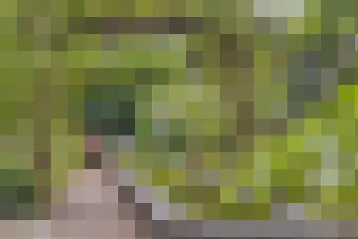 Zijdemos 6 Veenendaal thumbnail 45