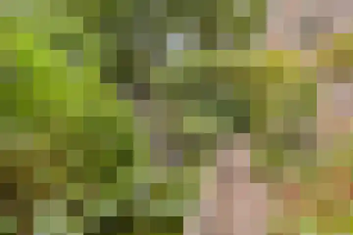 Zijdemos 6 Veenendaal thumbnail 46