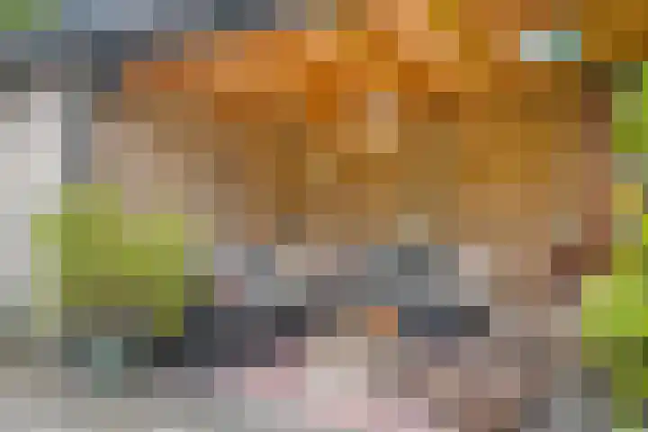 Zijdemos 6 Veenendaal thumbnail 47