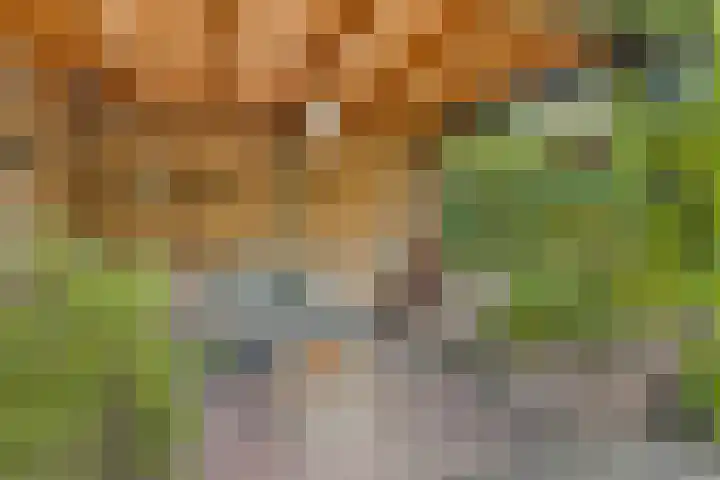 Zijdemos 6 Veenendaal thumbnail 48