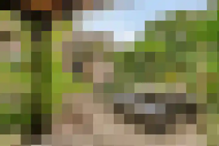 Zijdemos 6 Veenendaal thumbnail 49