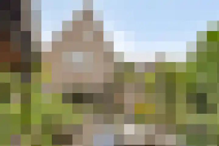 Zijdemos 6 Veenendaal thumbnail 50