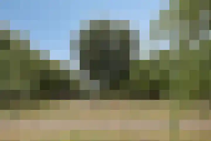 Zijdemos 6 Veenendaal thumbnail 51