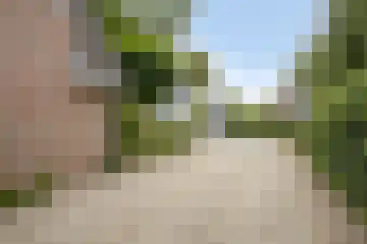 Zijdemos 6 Veenendaal thumbnail 6