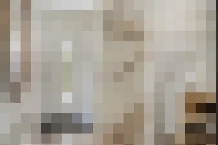 Zijdemos 6 Veenendaal thumbnail 7