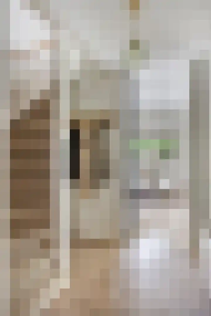 Zijdemos 6 Veenendaal thumbnail 8