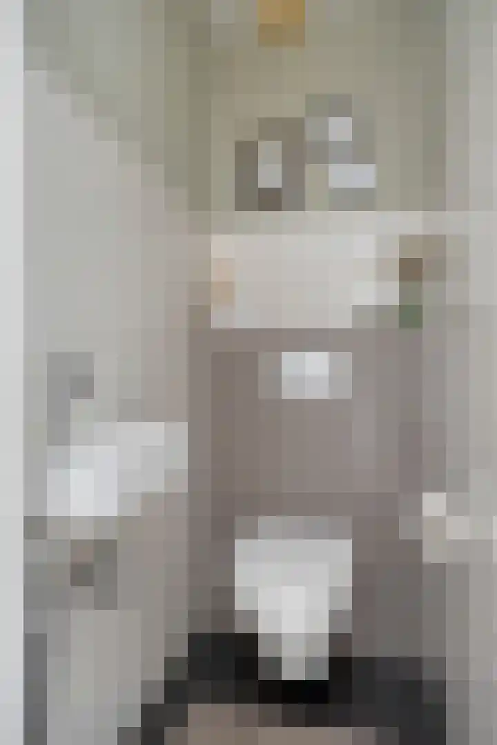 Zijdemos 6 Veenendaal thumbnail 9