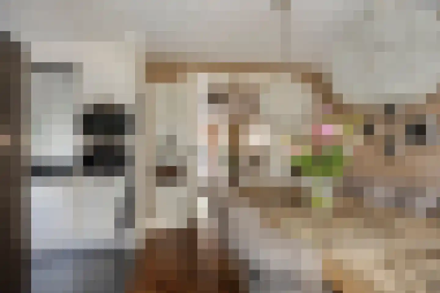 Zijdepolderstraat 7 Den Haag thumbnail 20