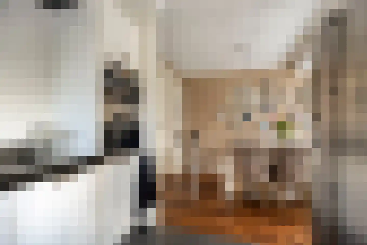 Zijdepolderstraat 7 Den Haag thumbnail 23