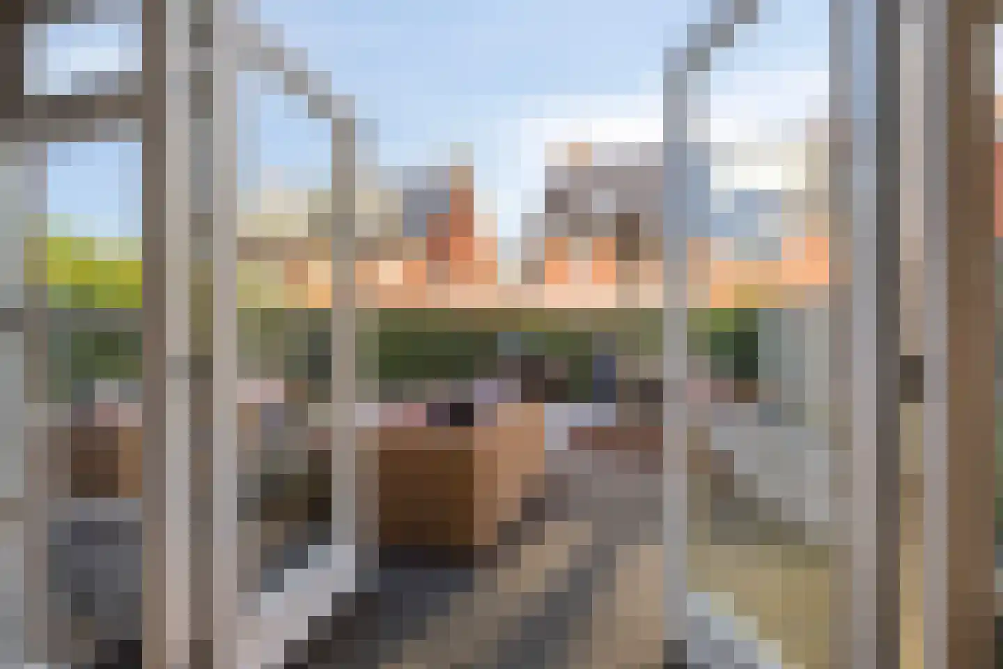 Zijdepolderstraat 7 Den Haag thumbnail 50