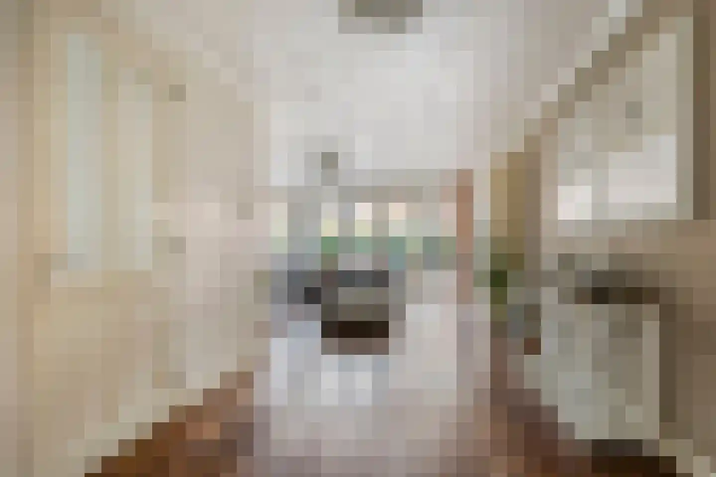 Zijdepolderstraat 7 Den Haag thumbnail 9