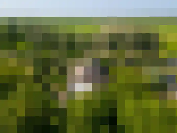 Zijderveldselaan 84 a Zijderveld