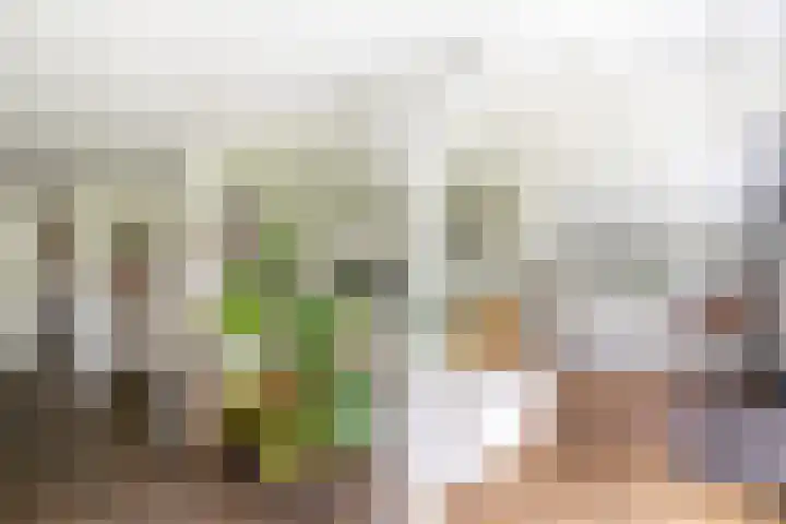 Zijderveldselaan 84 a Zijderveld thumbnail 11