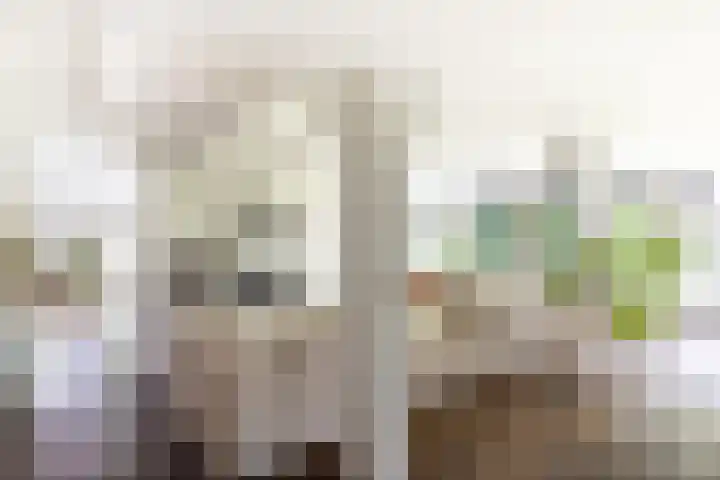 Zijderveldselaan 84 a Zijderveld thumbnail 13