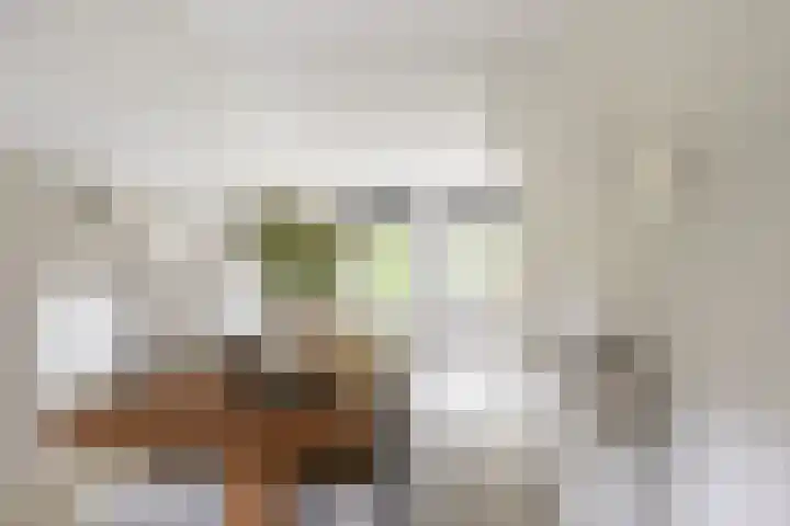 Zijderveldselaan 84 a Zijderveld thumbnail 15