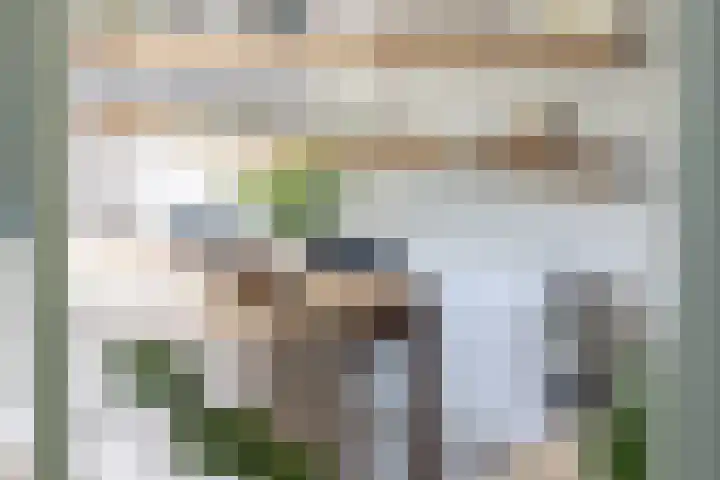 Zijderveldselaan 84 a Zijderveld thumbnail 20