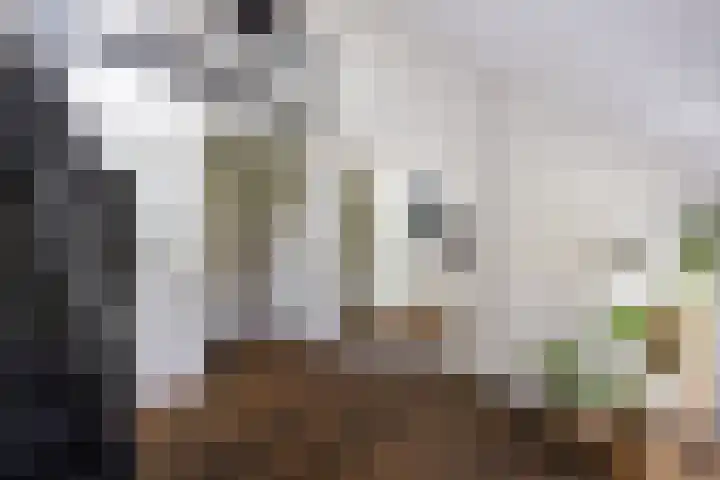 Zijderveldselaan 84 a Zijderveld thumbnail 21