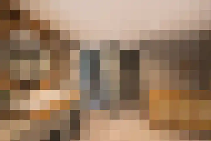 Zijderveldselaan 84 a Zijderveld thumbnail 22