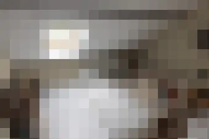 Zijderveldselaan 84 a Zijderveld thumbnail 27