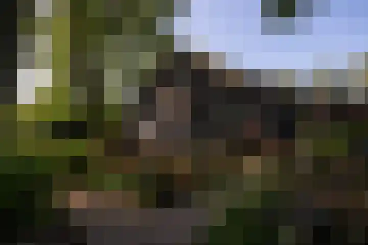 Zijderveldselaan 84 a Zijderveld thumbnail 32