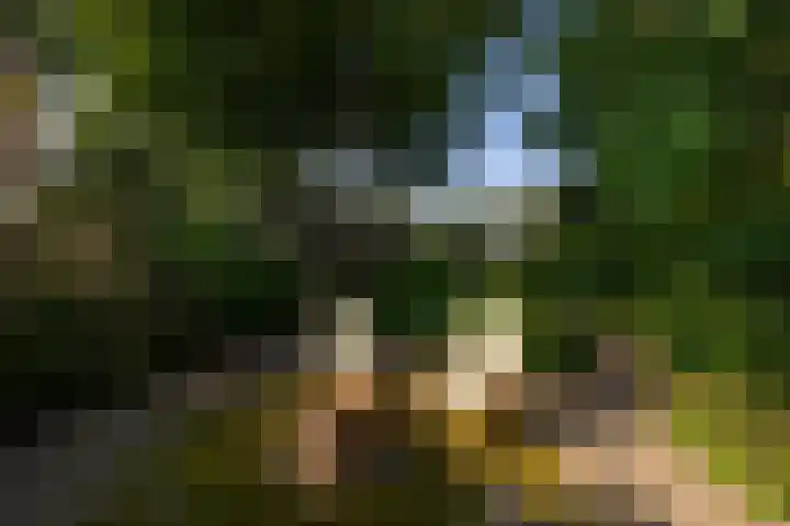 Zijderveldselaan 84 a Zijderveld thumbnail 33