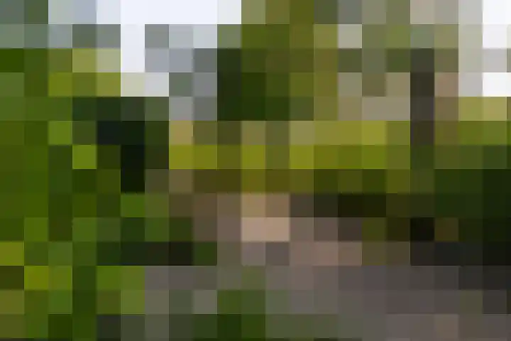 Zijderveldselaan 84 a Zijderveld thumbnail 34