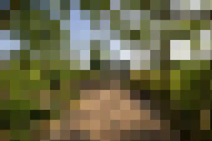 Zijderveldselaan 84 a Zijderveld thumbnail 35