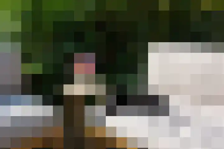 Zijderveldselaan 84 a Zijderveld thumbnail 36