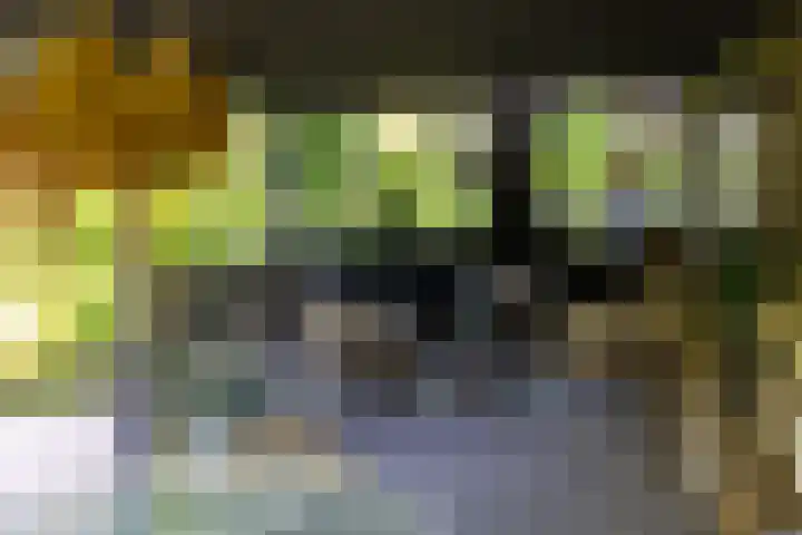 Zijderveldselaan 84 a Zijderveld thumbnail 37