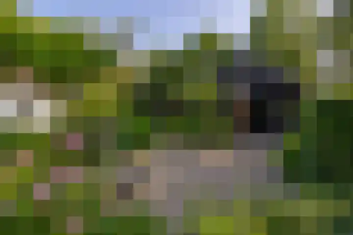 Zijderveldselaan 84 a Zijderveld thumbnail 38