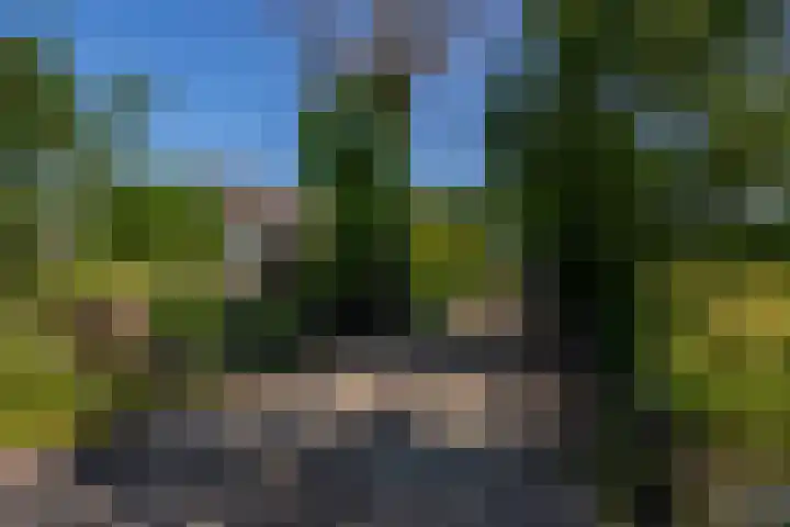 Zijderveldselaan 84 a Zijderveld thumbnail 4