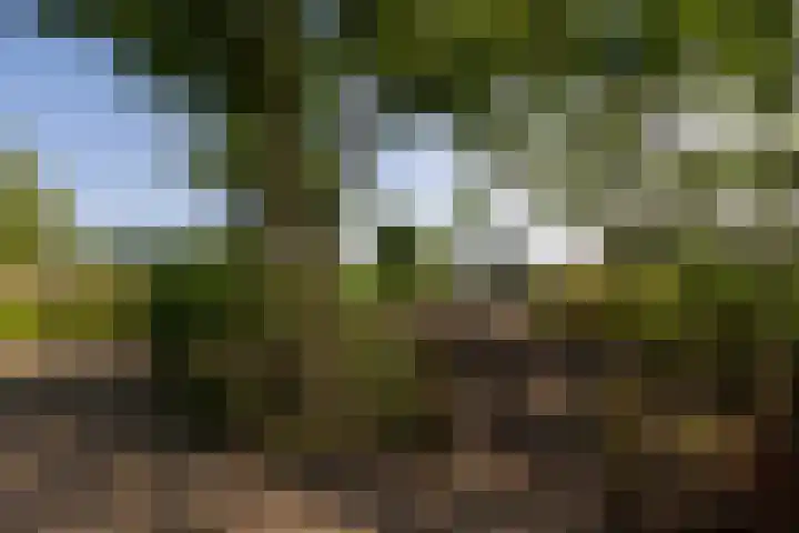 Zijderveldselaan 84 a Zijderveld thumbnail 43