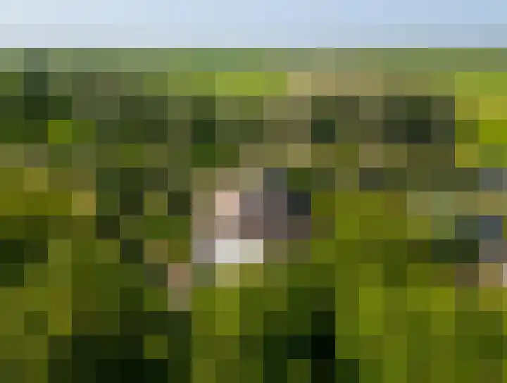 Zijderveldselaan 84 a Zijderveld thumbnail 48