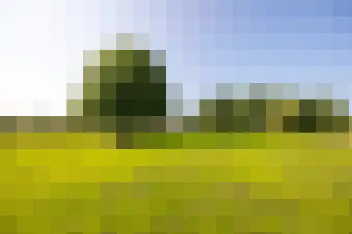Zijderveldselaan 84 a Zijderveld thumbnail 6