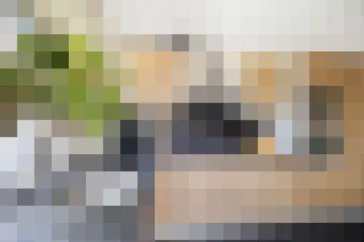 Zijdestraat 3 Leidschendam thumbnail 12