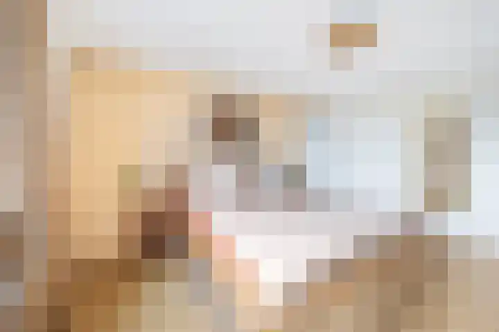 Zijdestraat 3 Leidschendam thumbnail 21