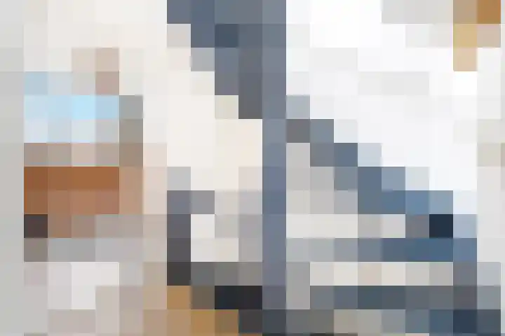 Zijdestraat 3 Leidschendam thumbnail 27