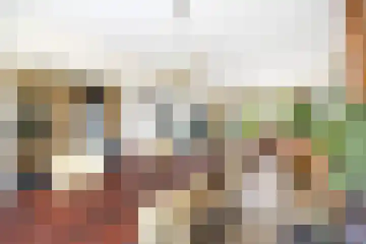 Zijdestraat 3 Leidschendam thumbnail 8