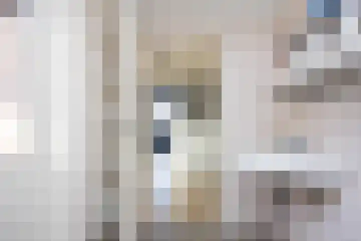 Zijdestraat 32 Borne thumbnail 16
