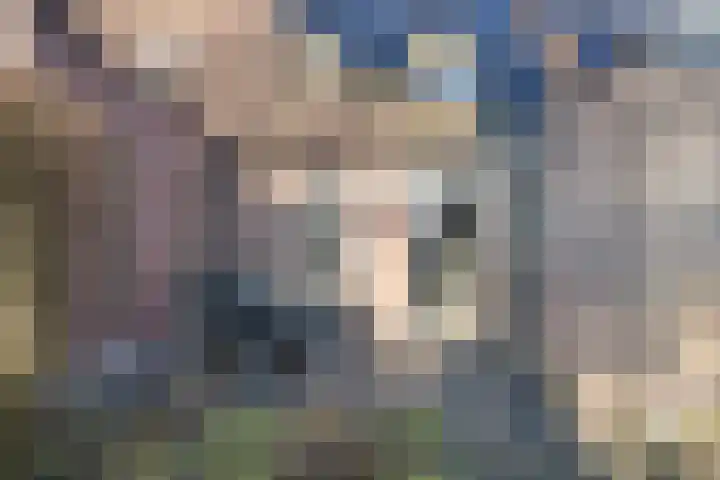 Zijdestraat 32 Borne thumbnail 28