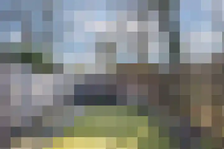 Zijdestraat 32 Borne thumbnail 5